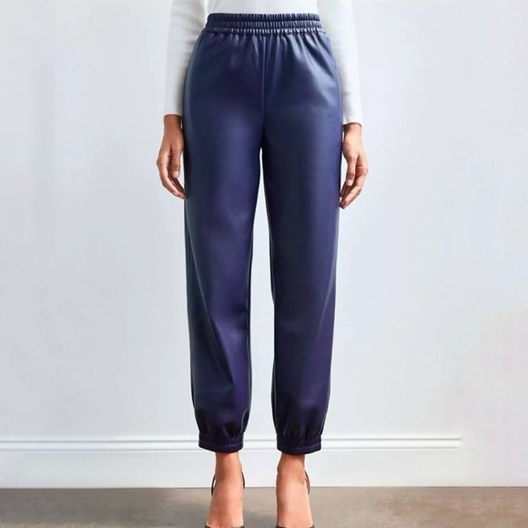 Aritzia Babaton RARE✨ Zedel Faux Leather Retro Jogger Pants, Purple size XXS - Picture 4 of 9